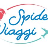 spider viaggi